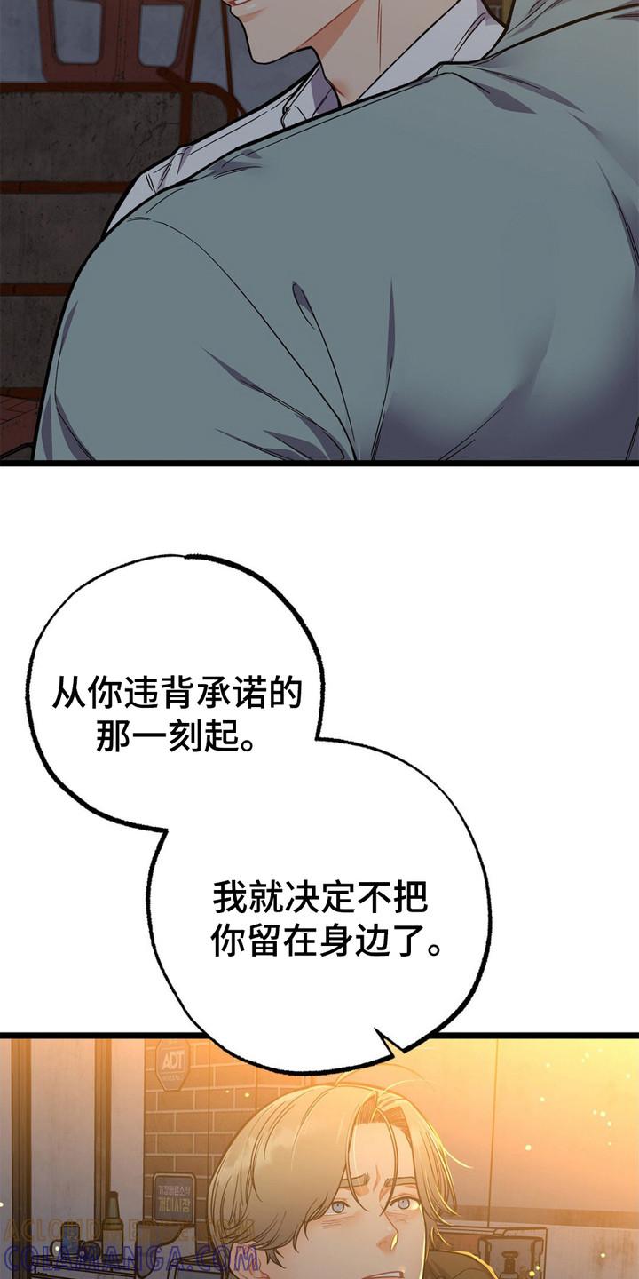 《浴火重生》第14章：安全感 第7页
