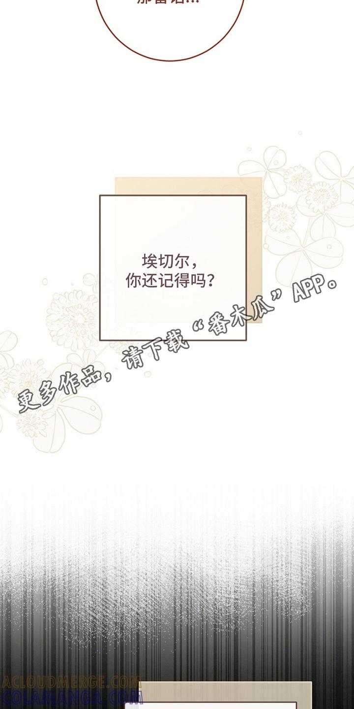 《爱上骑士团团长》第14章：误会 第5页