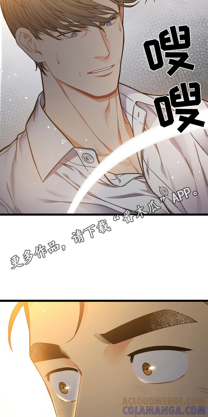 《浴火重生》第14章：安全感 第11页