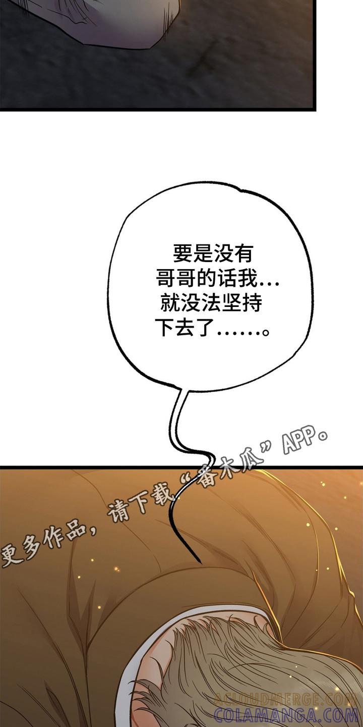 《浴火重生》第14章：安全感 第5页