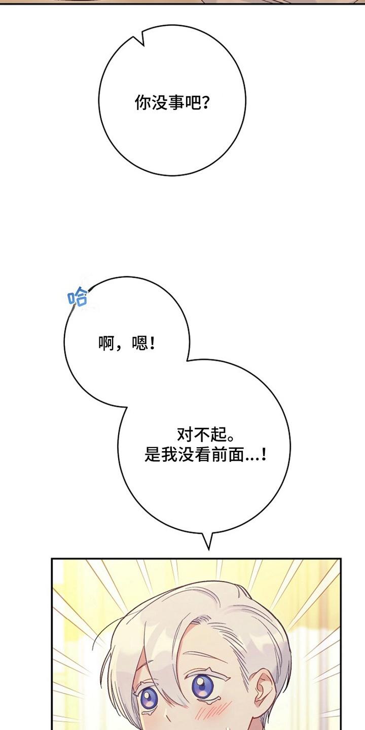 《爱上骑士团团长》第14章：误会 第30页