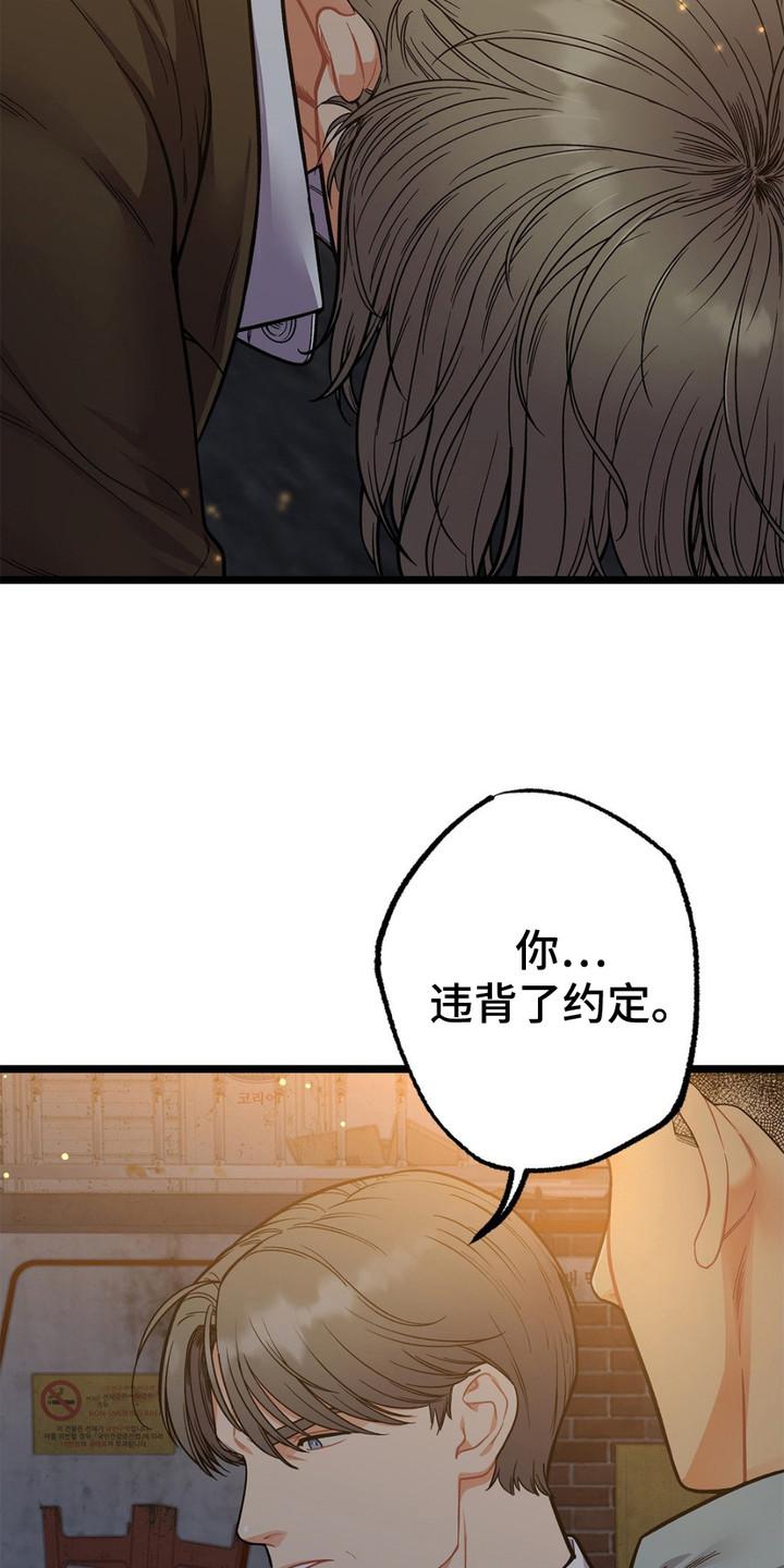 《浴火重生》第14章：安全感 第6页