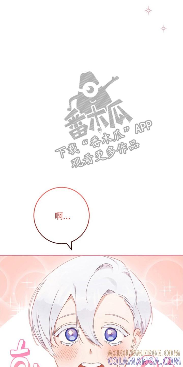 《爱上骑士团团长》第15章：告白 第11页