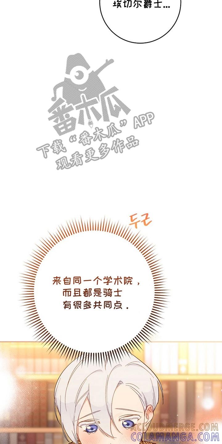《爱上骑士团团长》第15章：告白 第35页