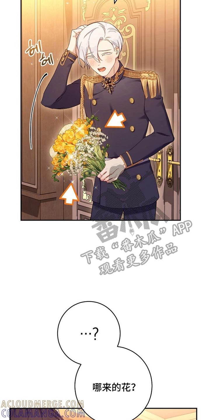 《爱上骑士团团长》第15章：告白 第29页
