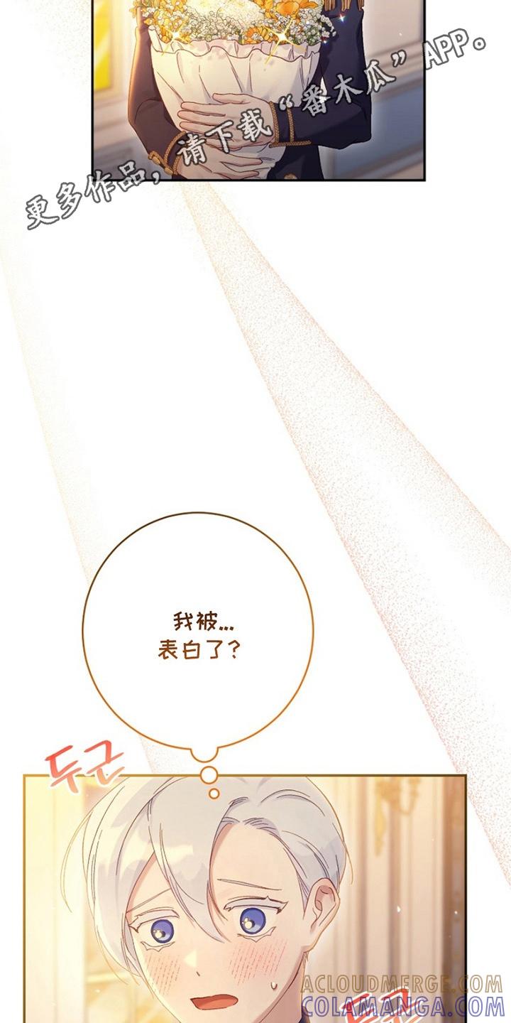 《爱上骑士团团长》第15章：告白 第17页