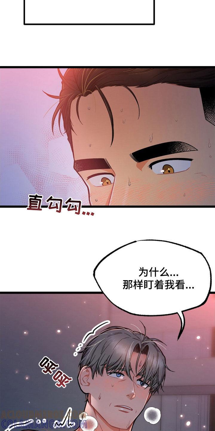 《浴火重生》第16章：最后的余兴 第19页