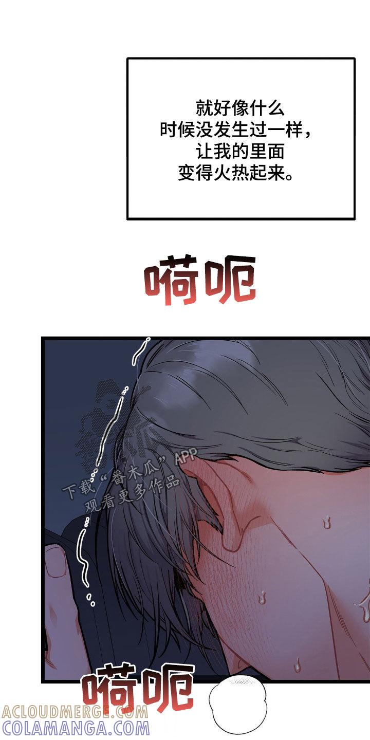 《浴火重生》第16章：最后的余兴 第17页
