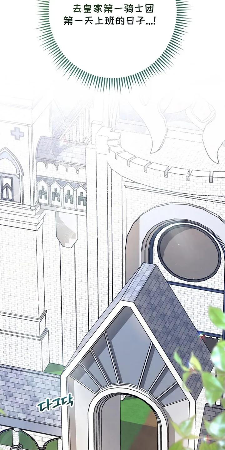 《爱上骑士团团长》第2章：实现梦想 第12页