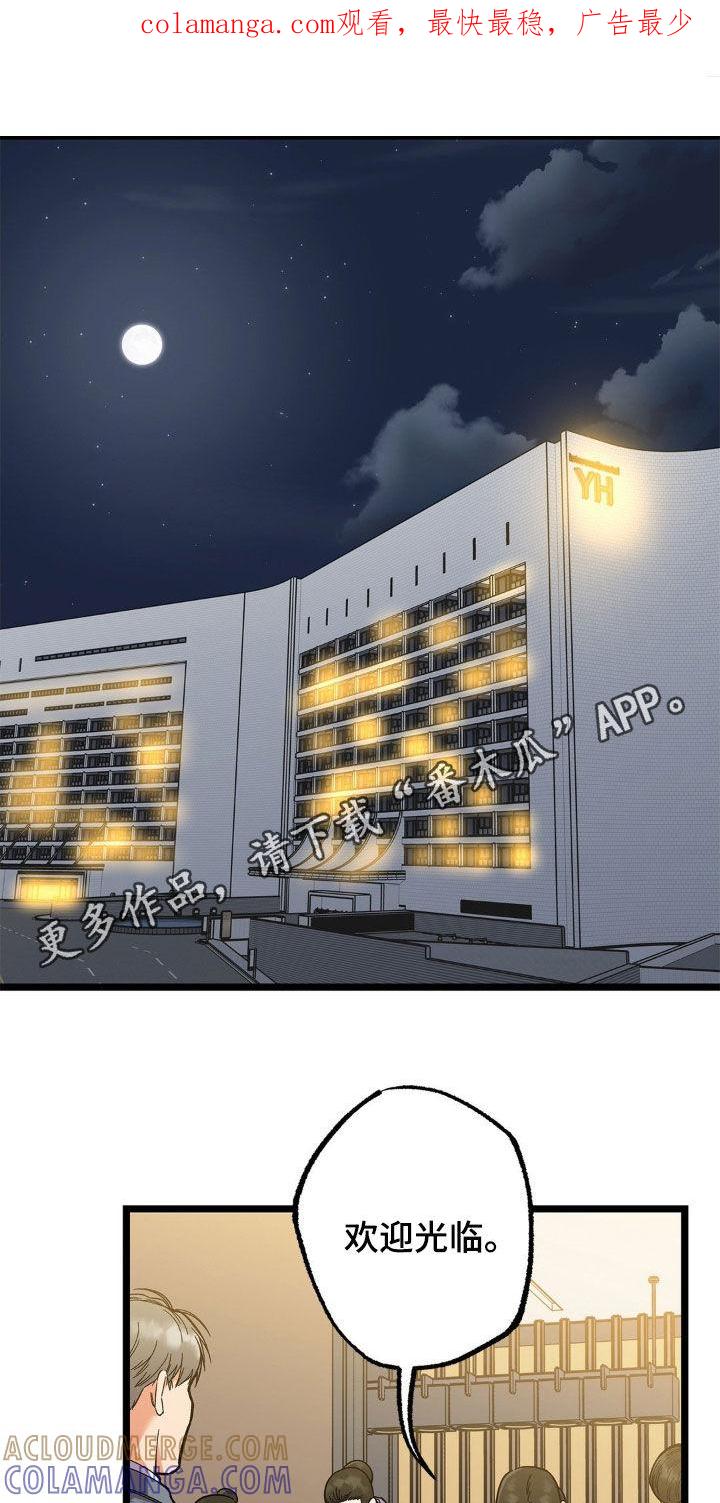 《浴火重生》第24章：不再期待 第1页