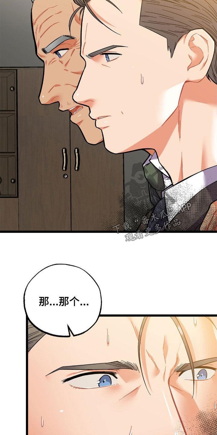 《浴火重生》第26章：不可能睡得着 第16页