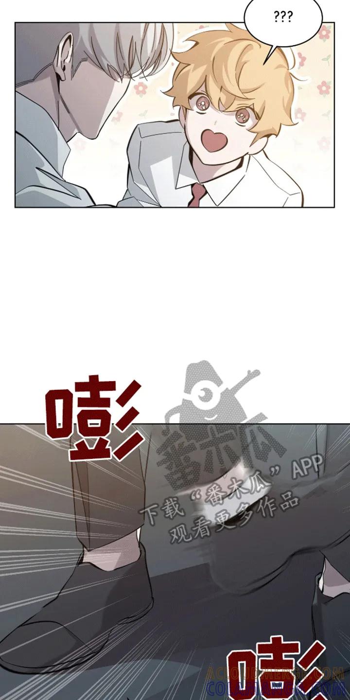 《法外狂徒》第6章：躲猫猫失败 第7页