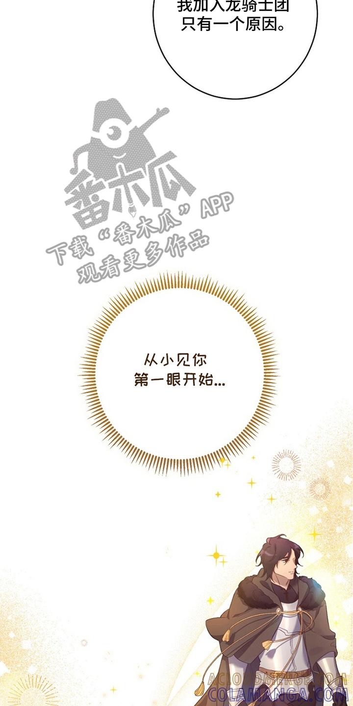 《爱上骑士团团长》第7章：原因 第15页