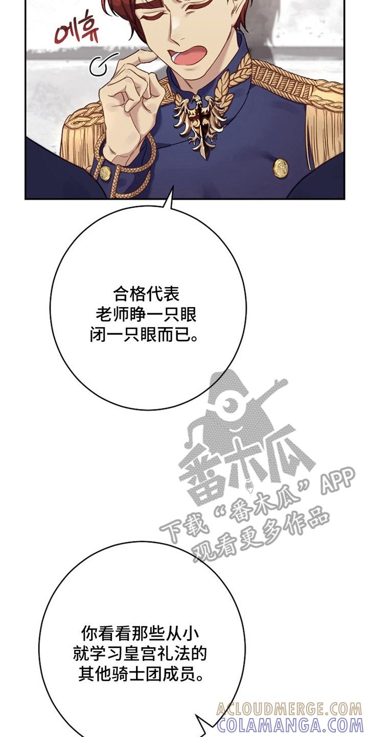 《爱上骑士团团长》第8章：礼仪 第15页