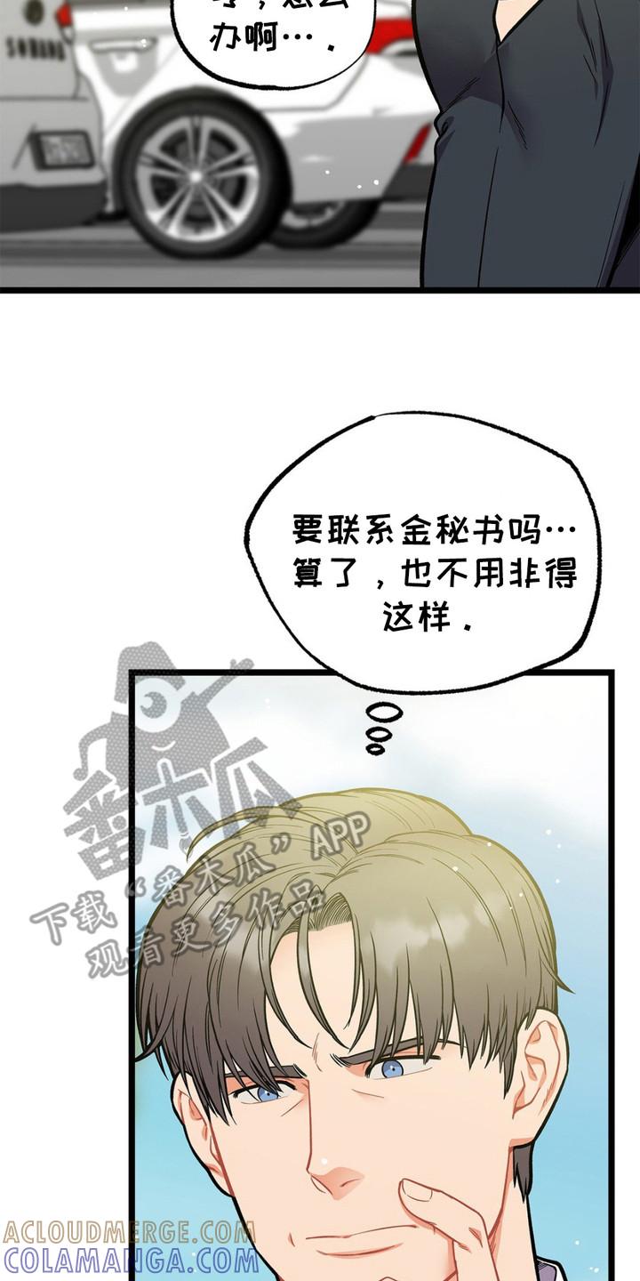 《浴火重生》第9章：窃窃私语 第17页