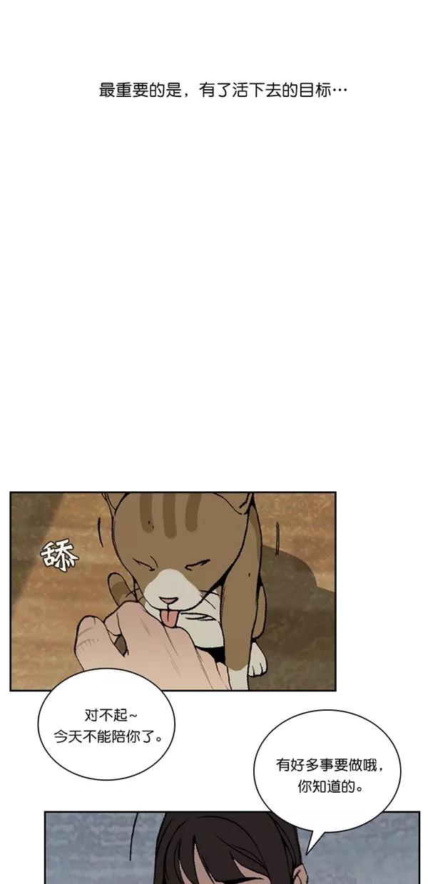 《金鱼》最终话 第11页