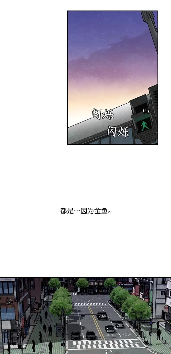 《金鱼》最终话 第51页
