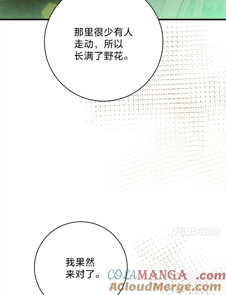 《请痛快地处决我》34.路过 第93页