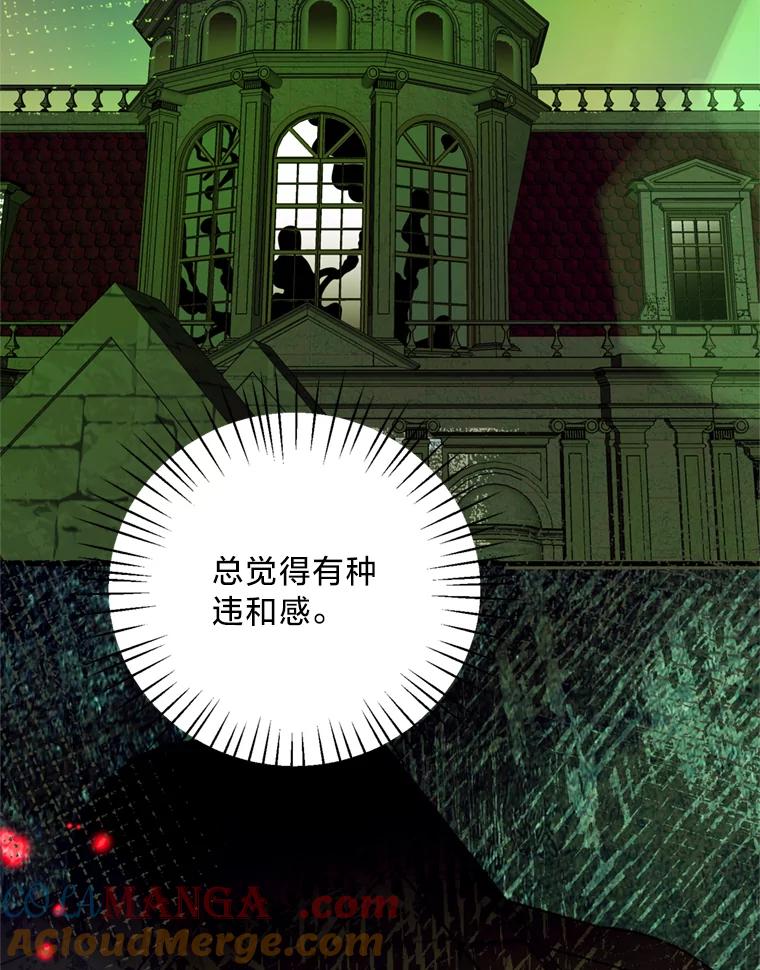 《请痛快地处决我》36.被救出来 第29页