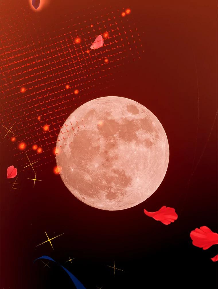 《请痛快地处决我》36.被救出来 第52页