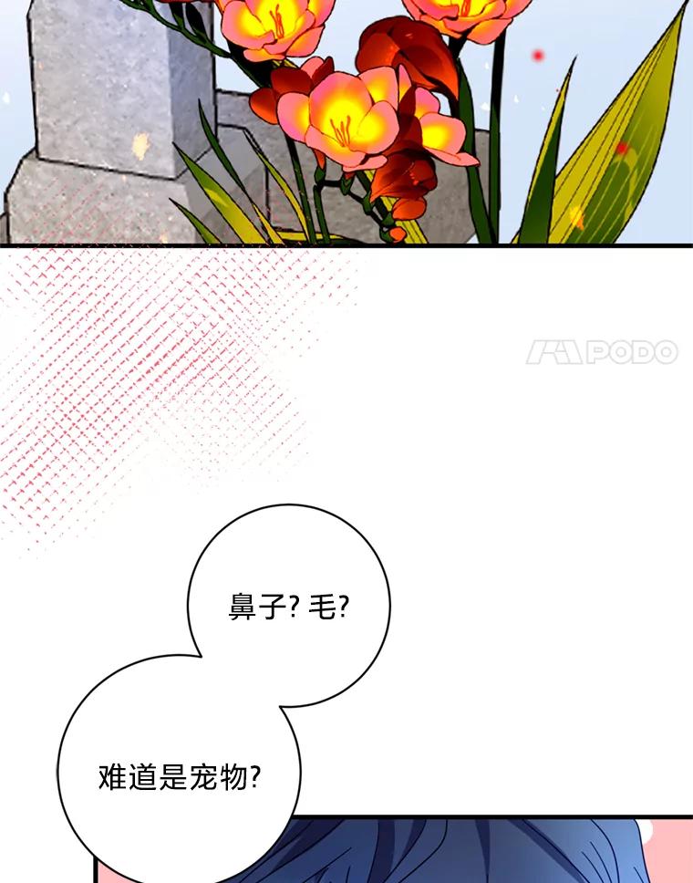 《请痛快地处决我》38.疾病得以解决 第92页