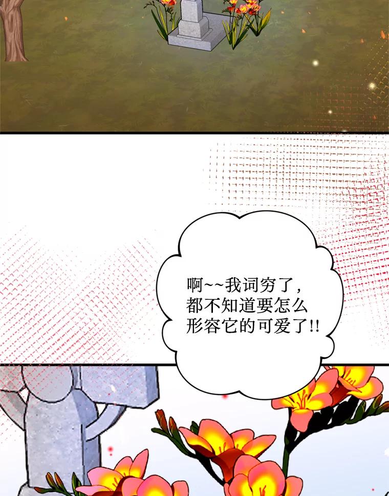 《请痛快地处决我》38.疾病得以解决 第91页