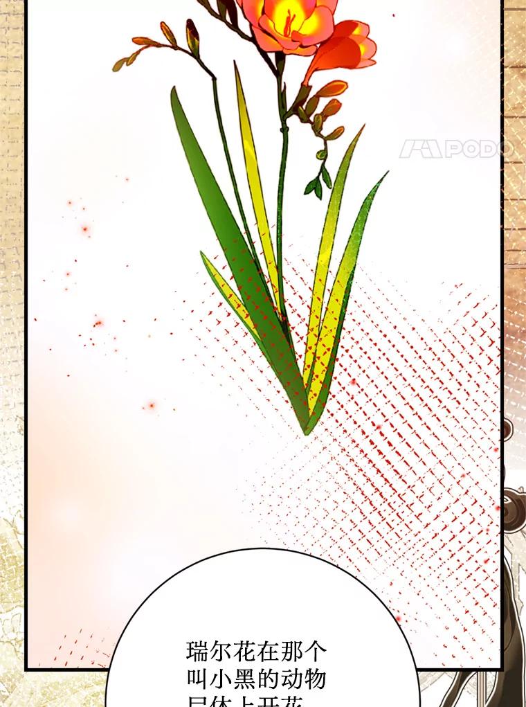 《请痛快地处决我》39.魔物 第39页