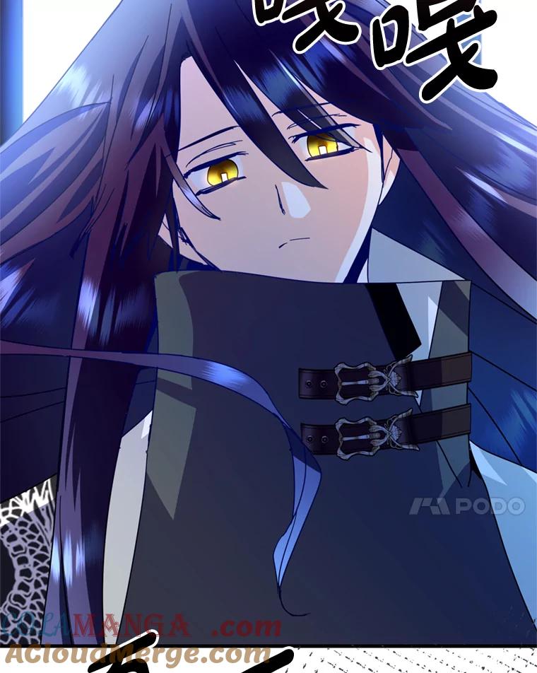 《请痛快地处决我》43.加冕仪式 第117页