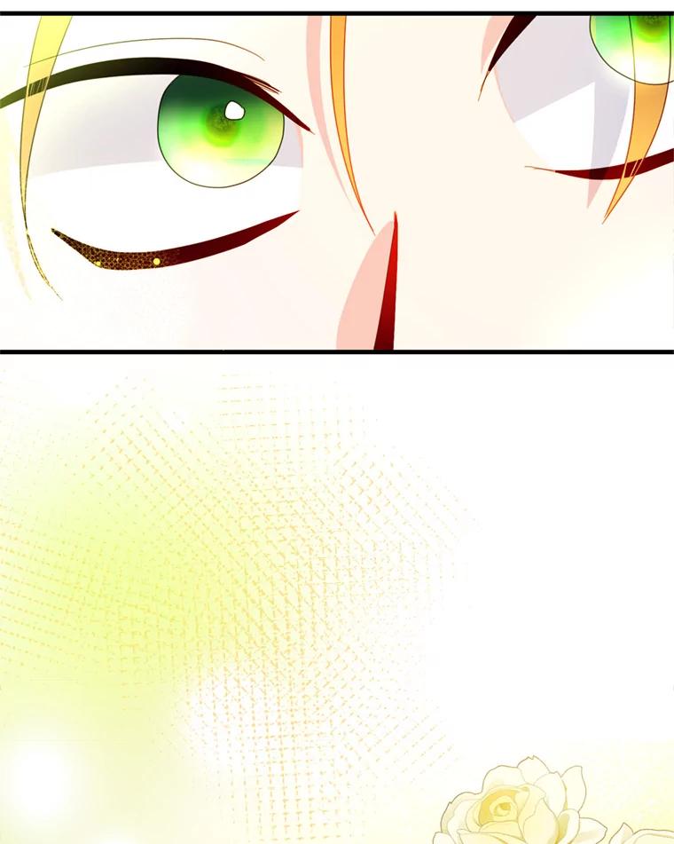 《请痛快地处决我》45.刺杀 第12页