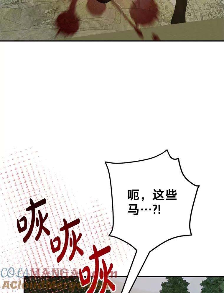 《请痛快地处决我》52.逃跑 第33页