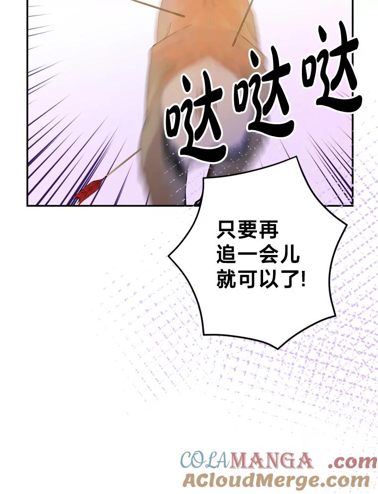 《请痛快地处决我》52.逃跑 第29页