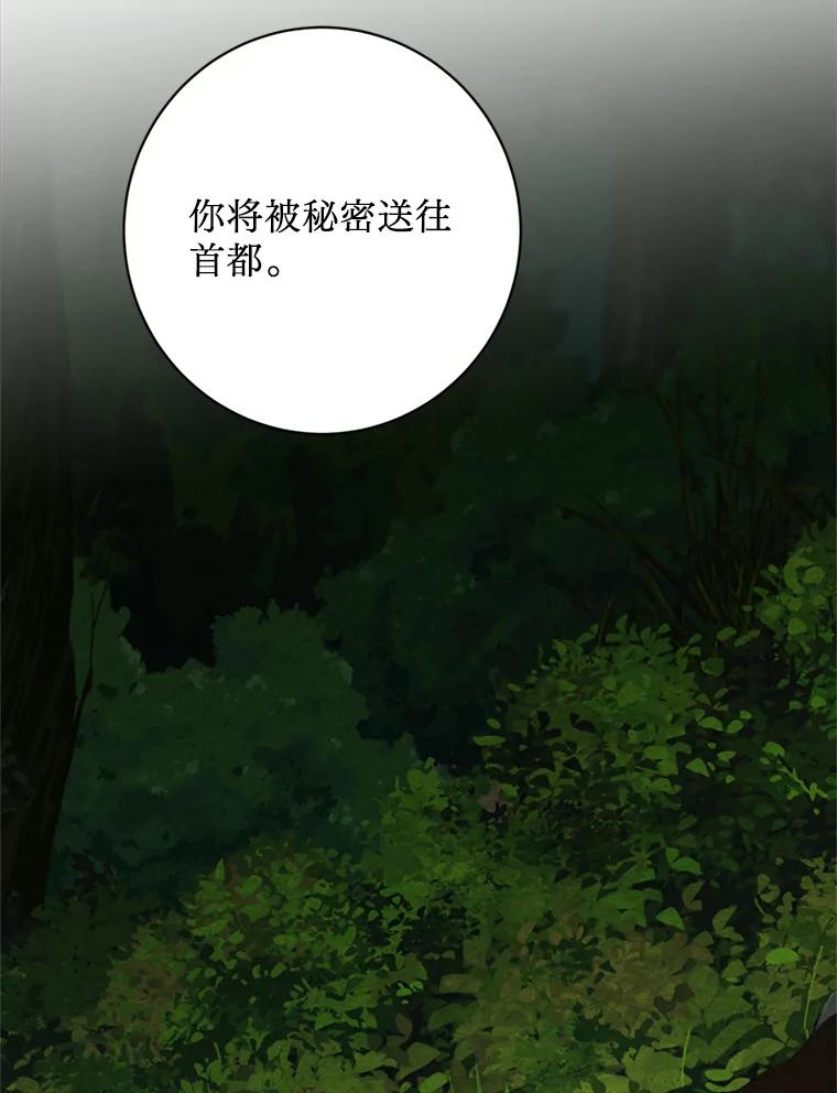 《请痛快地处决我》54.审问 第40页