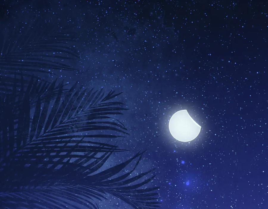 再见，我的国王 第115话 月夜暗涌 第35页
