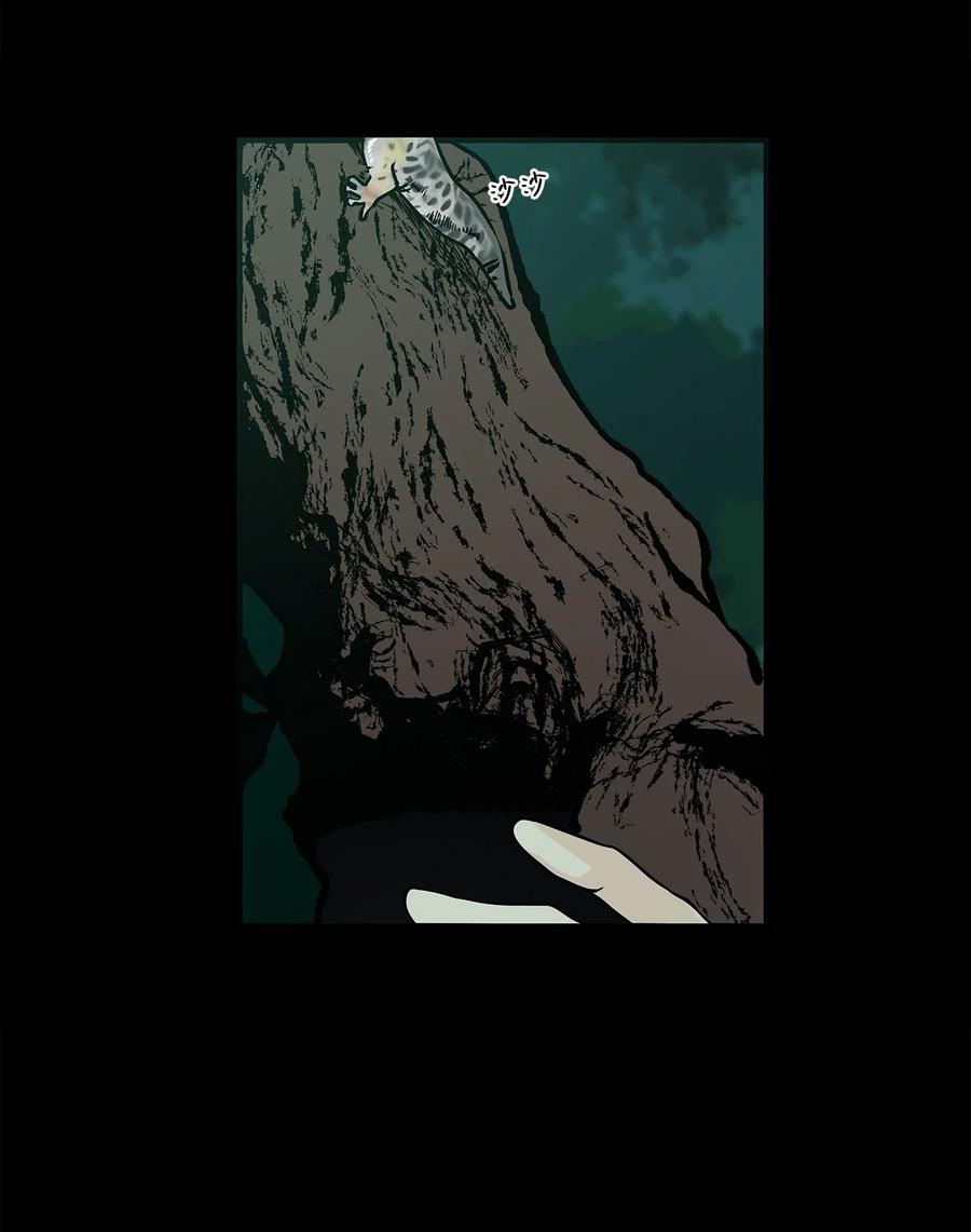 图腾领域 - 001 无人岛 - 第84张图