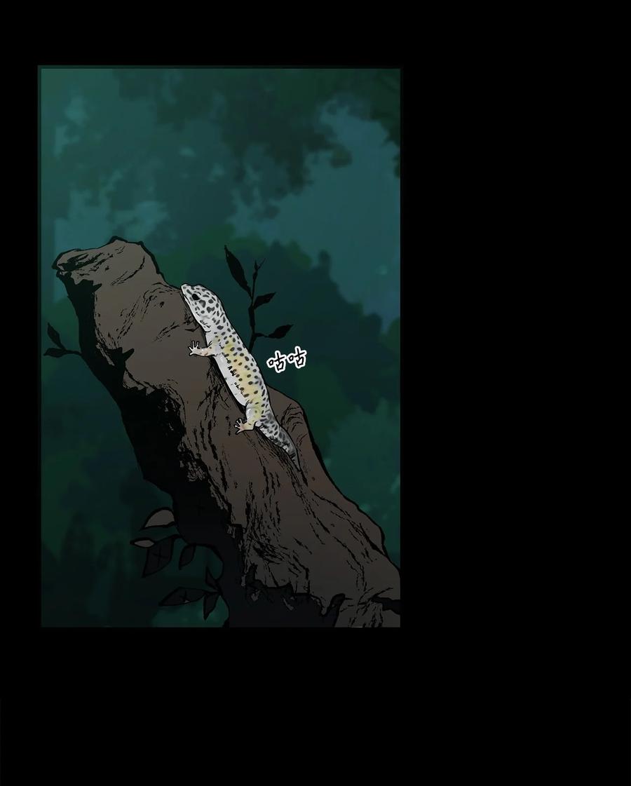 图腾领域 - 001 无人岛 - 第83张图