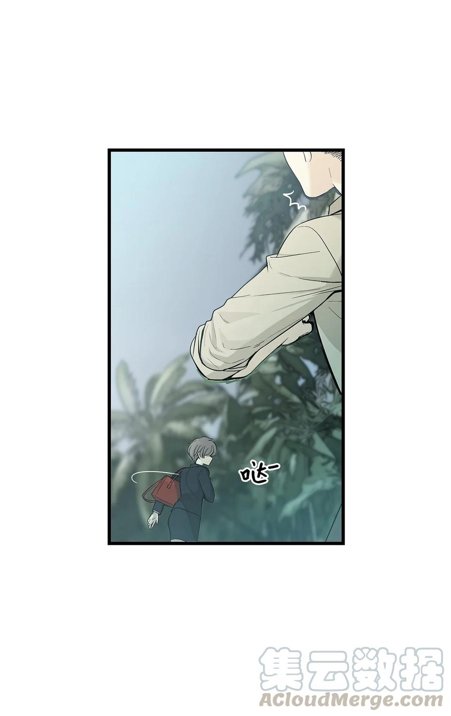 图腾领域 - 001 无人岛 - 第57张图