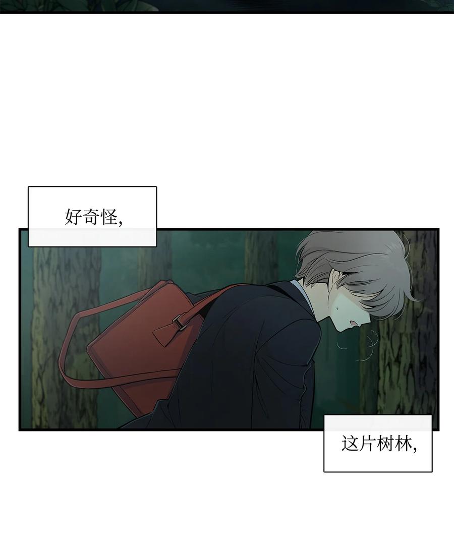 图腾领域 - 001 无人岛 - 第60张图