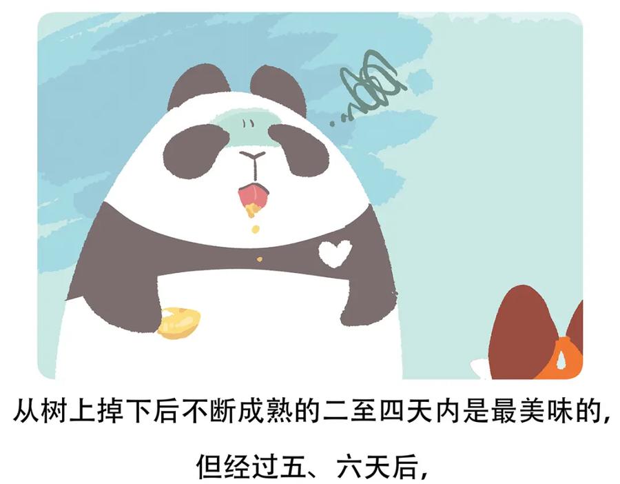 《胖达x胖达》第61话 第24页