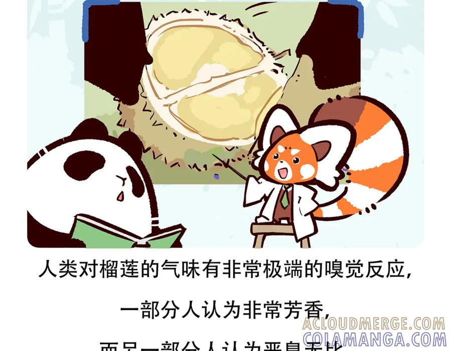 《胖达x胖达》第61话 第27页