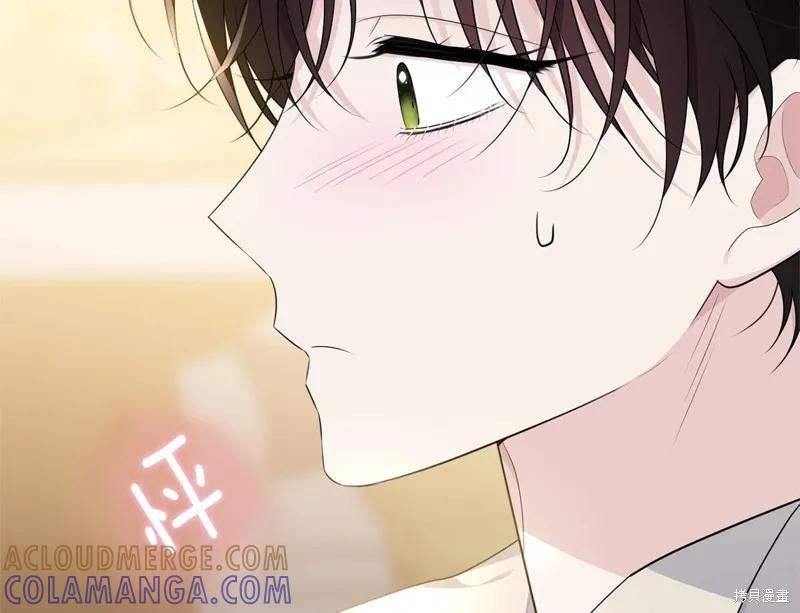 《明明是冷美人小姐却变成了忠犬大少爷》第74话 第177页