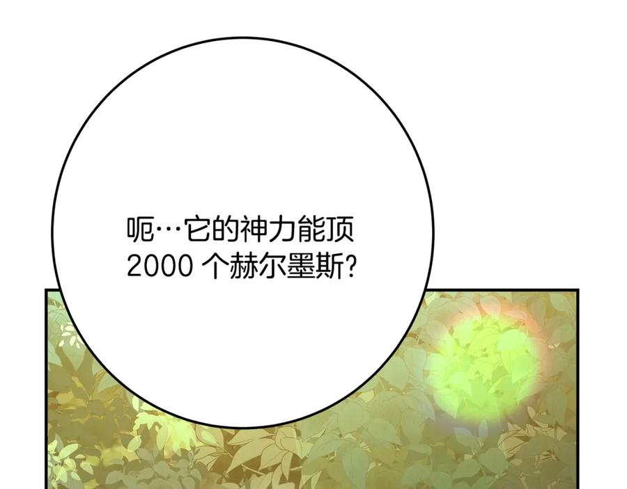 神的打工世界 第70话 神秘的回归者 第158页