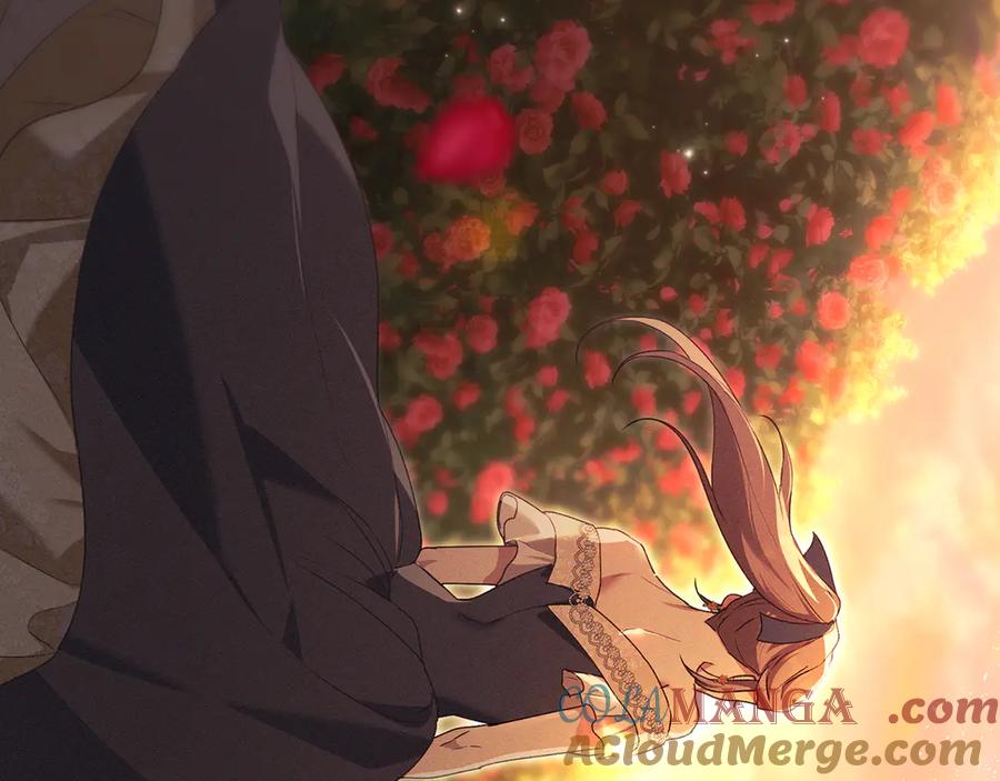 默许侵占 - 完结篇 美好的结局 - 第157张图