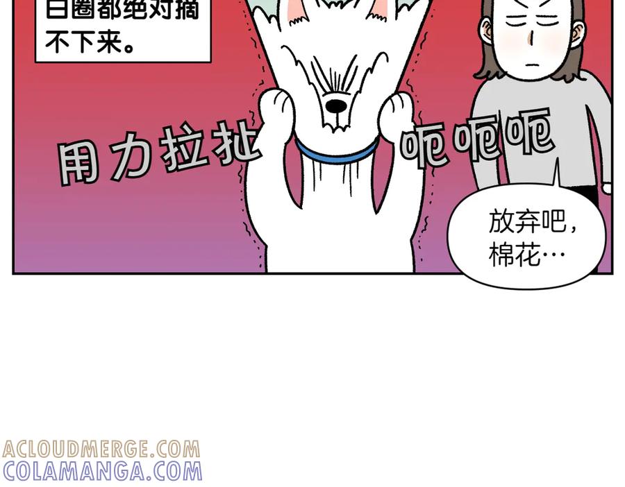 《我的狗子叫棉花》第44话 治疗眼病(3) 第7页