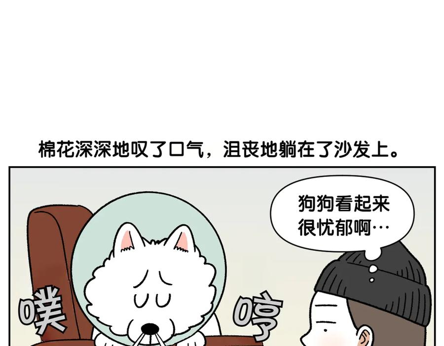 《我的狗子叫棉花》第44话 治疗眼病(3) 第9页