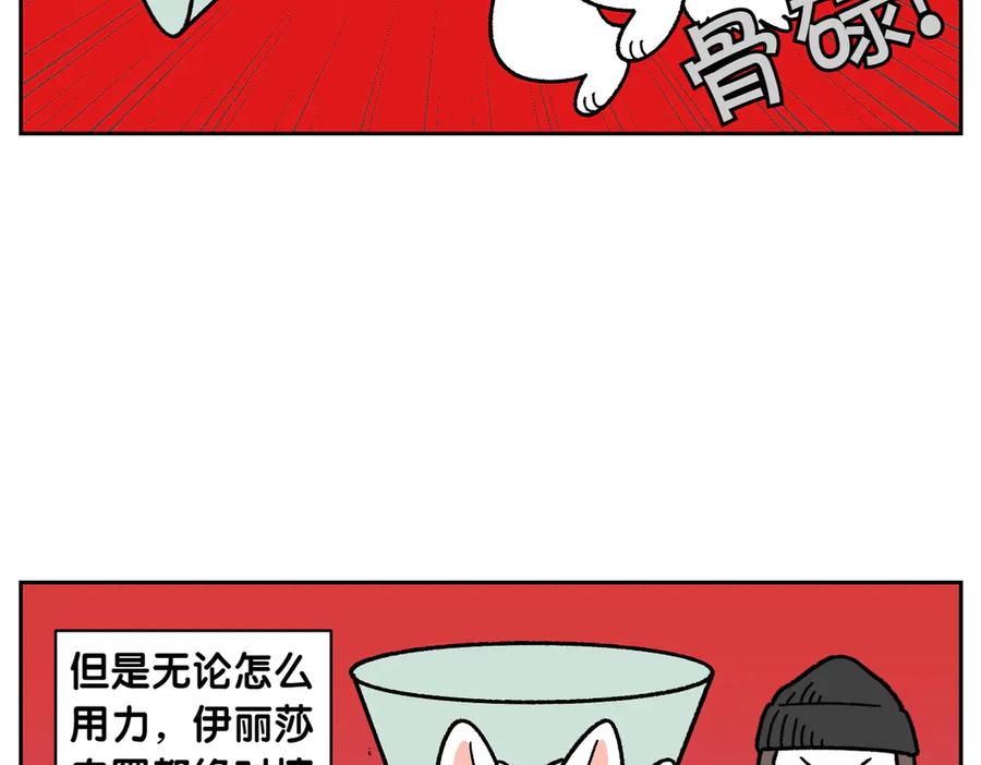 《我的狗子叫棉花》第44话 治疗眼病(3) 第6页