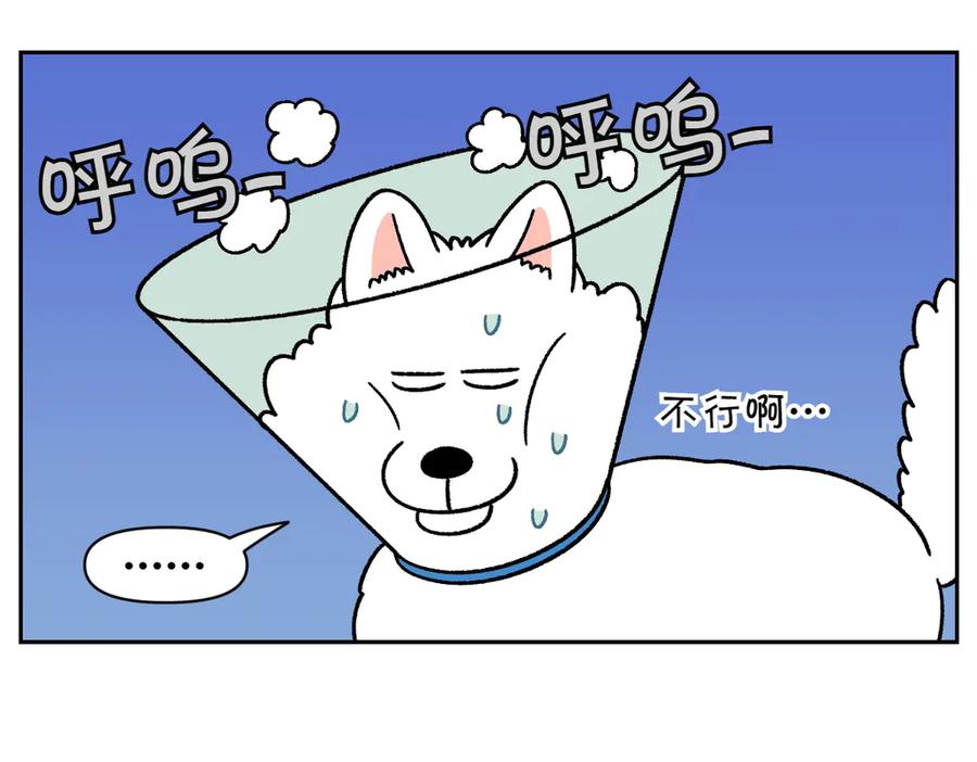 《我的狗子叫棉花》第44话 治疗眼病(3) 第8页