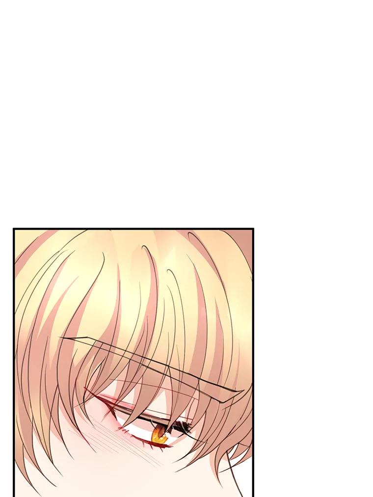 《预知未来的洛琳》39.重逢 第67页