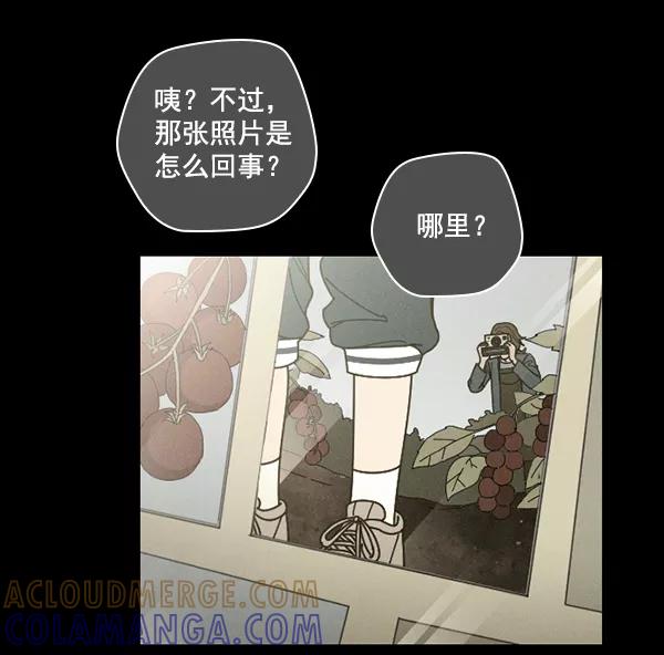 《种植部神秘日志》[第28话] 记忆是一颗颗番茄（4） 第25页
