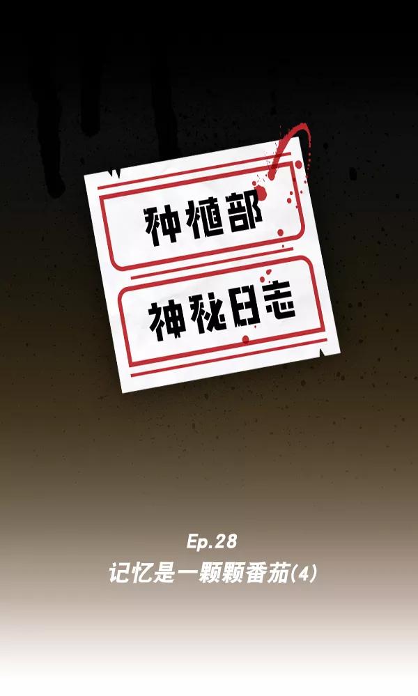 《种植部神秘日志》[第28话] 记忆是一颗颗番茄（4） 第6页