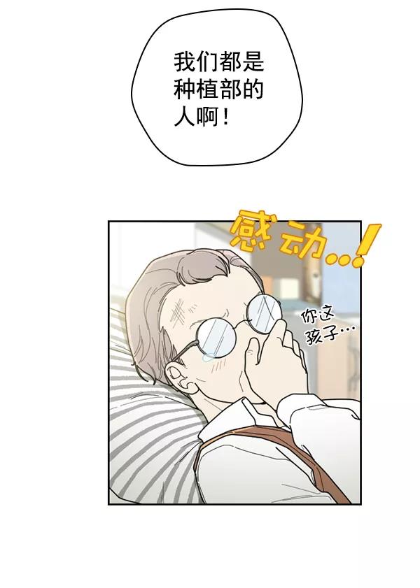 《种植部神秘日志》[第31话] 洒满芝麻的浪漫故事（1） 第47页
